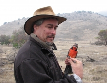 L. Michael Romero ’88 in the wild holding an orange and black bird perched on his hand